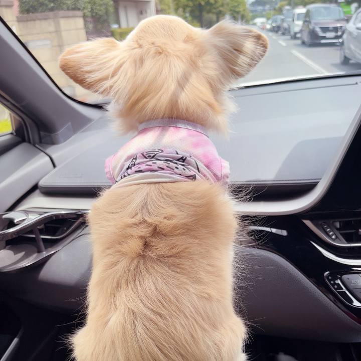 B8140fd6 d84e 438d bbf4 368a6fbdfbb1 1754747898671