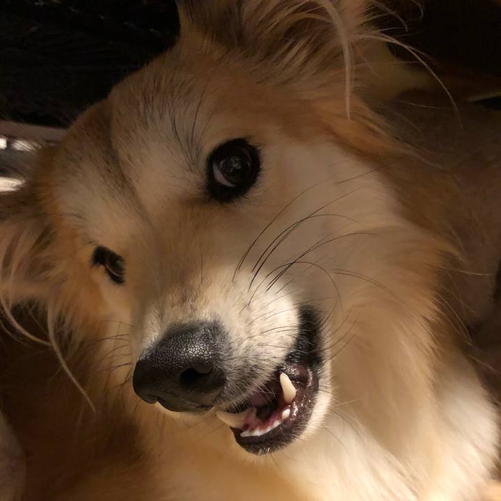 B8142054 4f11 486d a207 054dad5431ae 1573555362343