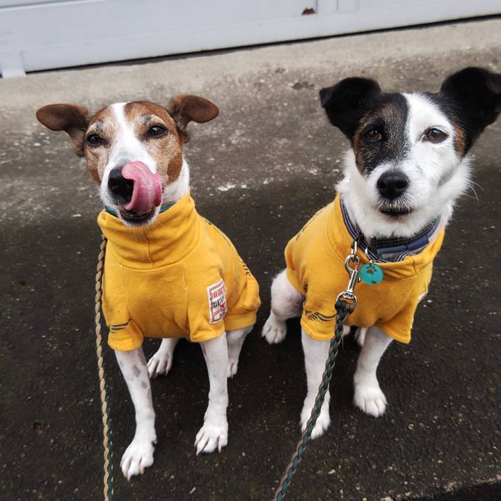 B81439a3 a86a 4ca3 bc45 1d47c17561bc 1760480771657