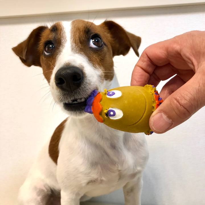 B8144fff 936e 47c2 a3ad f7062fe15c69 1573126941744