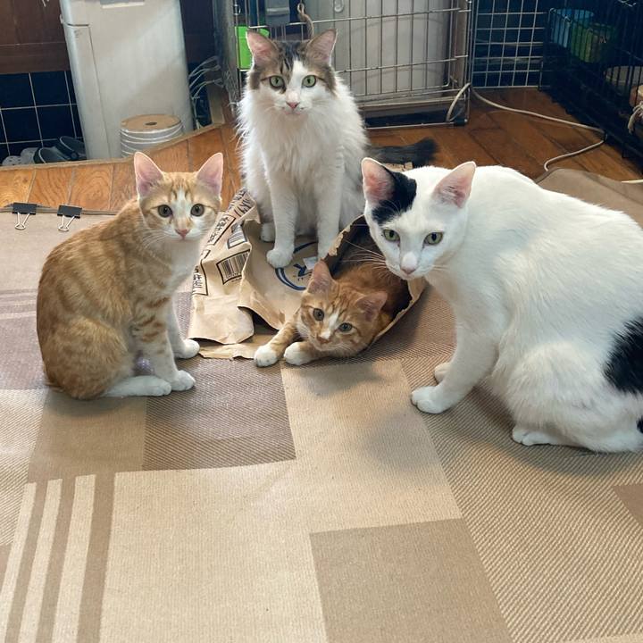 B8146546 6c84 4442 817c 004a7b25c56d 1763857536586