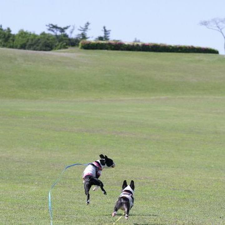 B8147a7a b613 4a6d 99f7 c23b4ab78d28 1526044325481