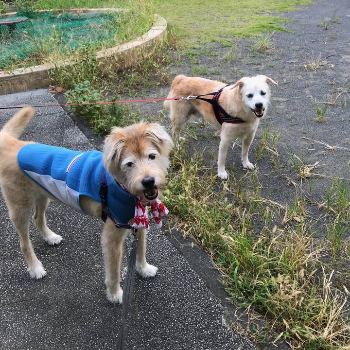 B8149af2 b725 4fc0 be99 186f3a216315 1598404035257