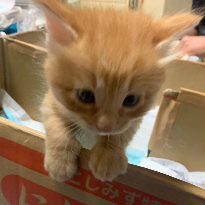 B814a407 6401 4b5c b02c 3e3e886a72ae 1570630172014