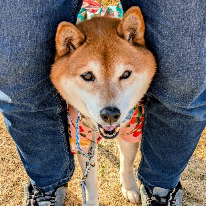 B814bcac 1f6f 402f 9c1d 7d87836048be 1772519627211