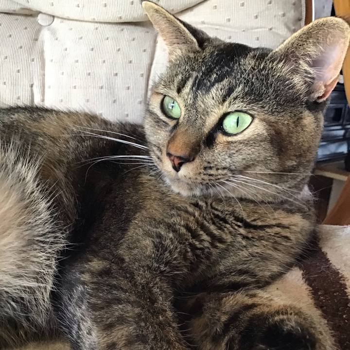 B814d5bc ba58 4365 af92 733d4e1cbf2a 1659439779259