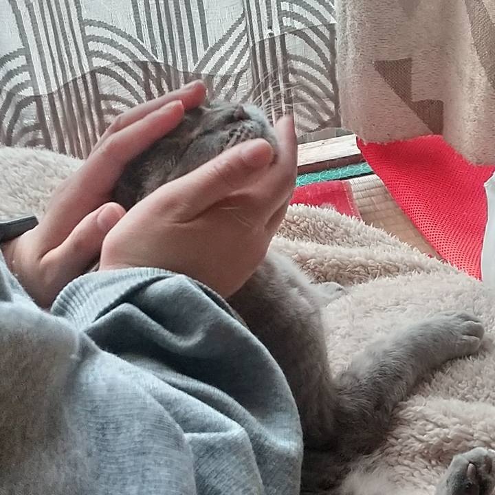 B814e03d 0e60 40f1 88a5 f1d9550151de 1678575319182