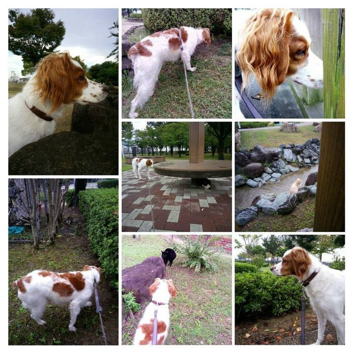 B814e052 7708 4031 b4df adf856c165b8 1508229053076