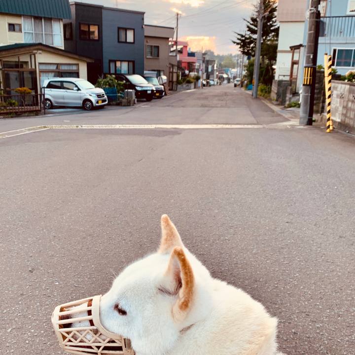 B814e393 15af 4344 8734 c5ddf3622407 1567199635932