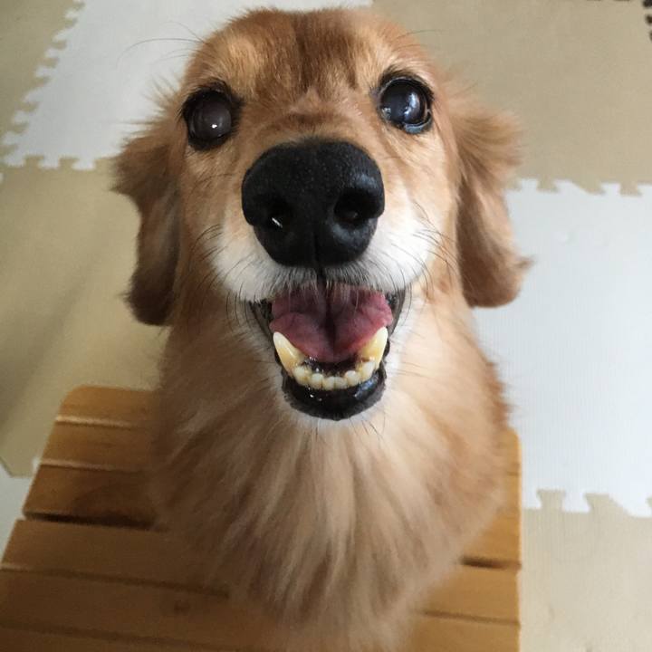 B8151564 1c6c 4b69 9834 c76574b3dbd3 1629544530079