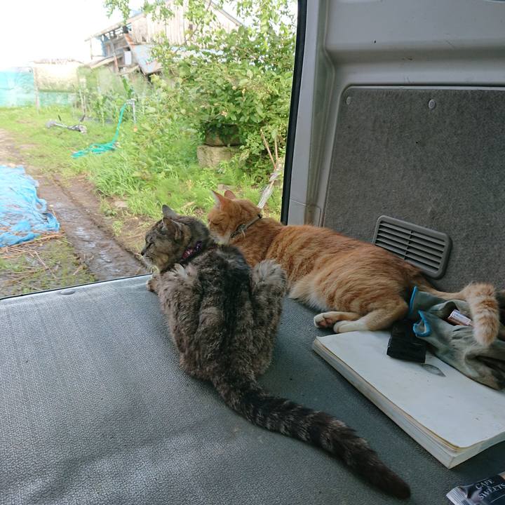 B81545e3 053b 4890 9047 00f3a3268c84 1594539439376