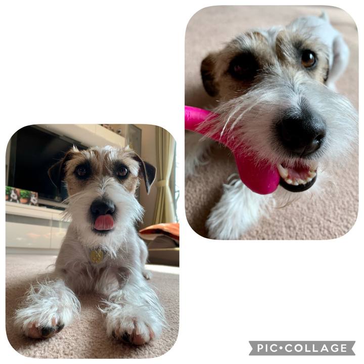 B815569b 7619 4a23 9cd5 0f0ead5f4639 1613352014330