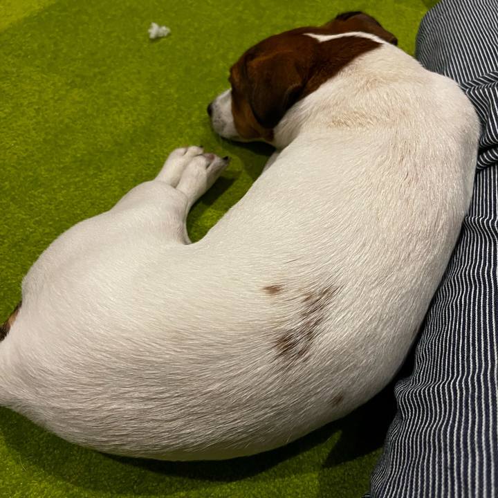 B815b6d3 5b85 44ca 8154 d1e4aa3c04e1 1752145092763