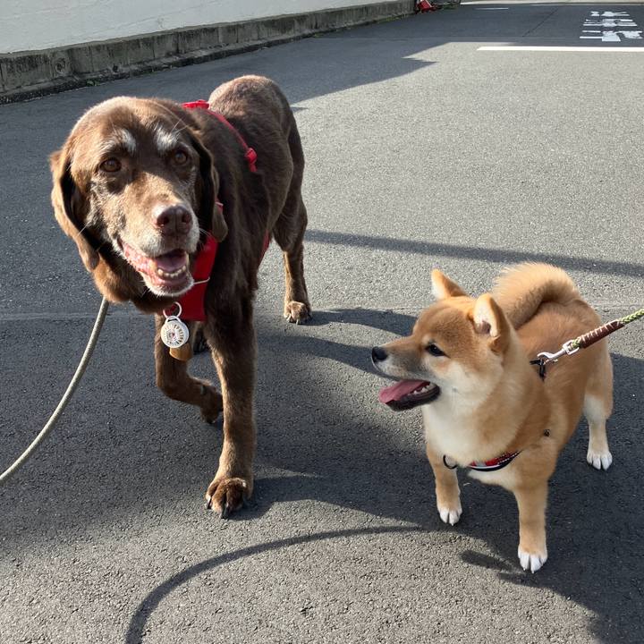 B815d109 0f41 499a af8f 8363ee07f747 1776763088203