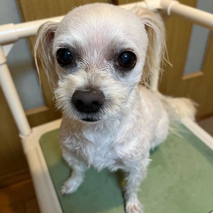 B81607b9 243d 4f21 a094 6a2080dd19b1 1690456979012