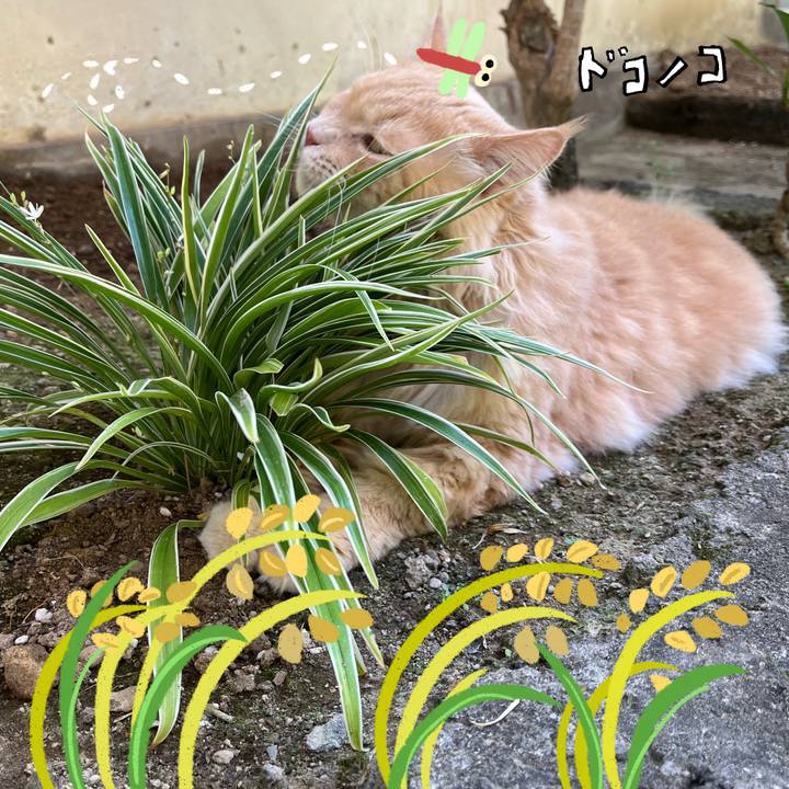 B8160e6d 1e86 4d29 a400 2a1cb2b7e9f4 1761569703897