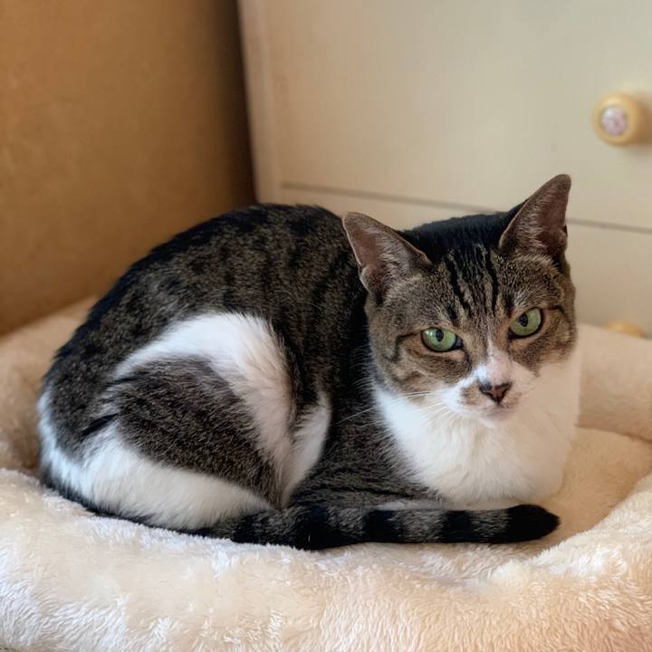 B8161811 fd19 4722 9dc5 f0f370071c8f 1599960460220