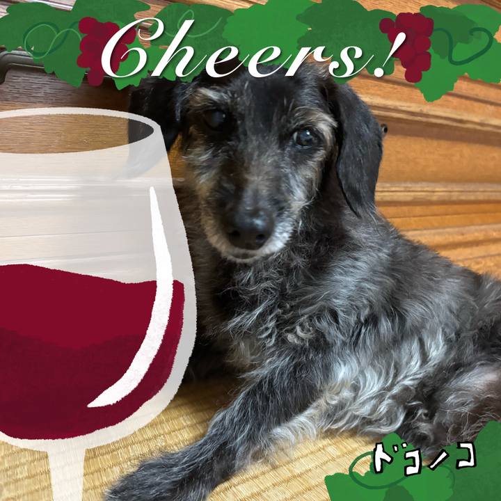 B81622d1 fb3c 4813 9ed4 018b1f0ed0a1 1761692661235