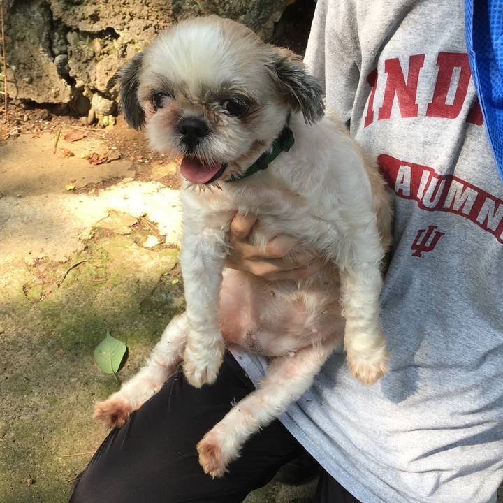 B81627a5 2fbc 433e 9cac 6456edb542e7 1564732775950