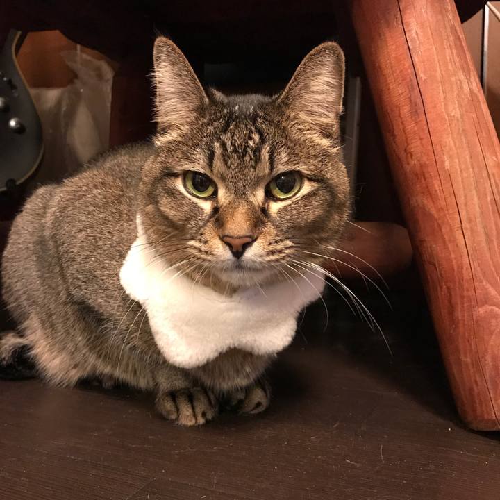 B8163cae 0a92 49cb a599 a2d3bdae563b 1545655514870