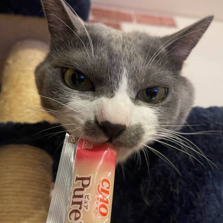 B8163fbc c774 4258 8264 206ddb249db2 1665822556759