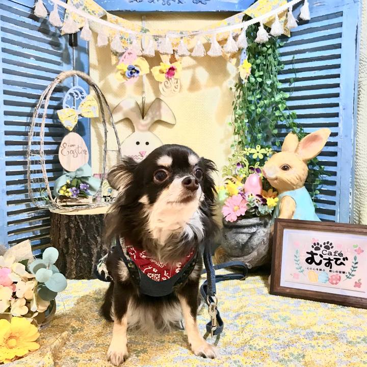 B8164266 0c97 4258 918e e525de18bf2b 1584254935583