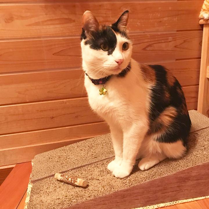 B816487a 333b 435f 9808 d9eef0cb0ccd 1525519465781