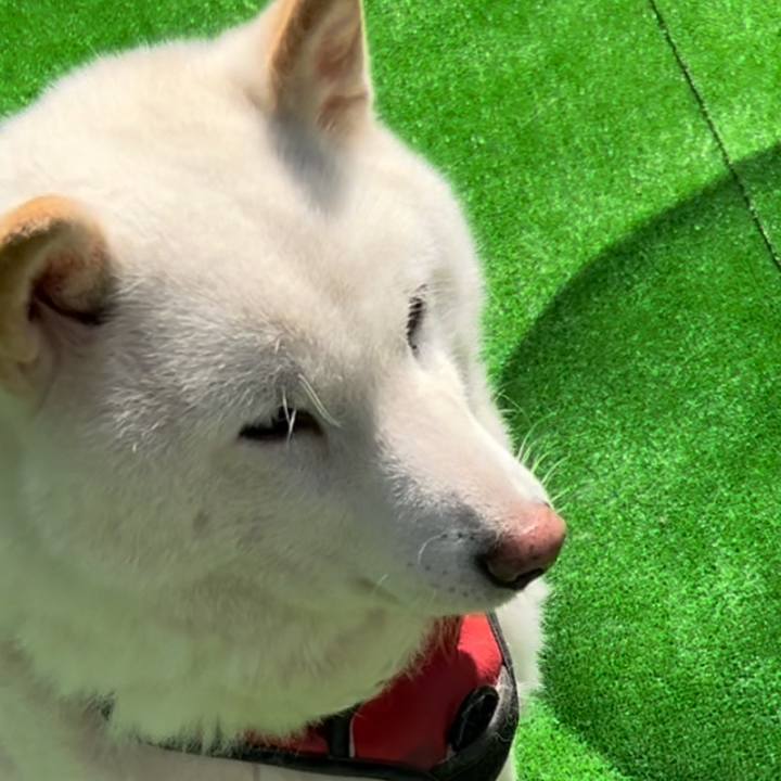 B8164e65 9bf8 4305 baf3 5ff7fe07176d 1714655458568