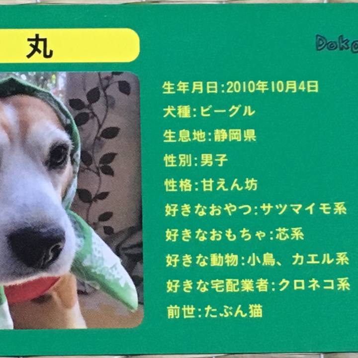 B816a32f 3f70 4c0d 9aea e5add4f3c6cc 1507947634304