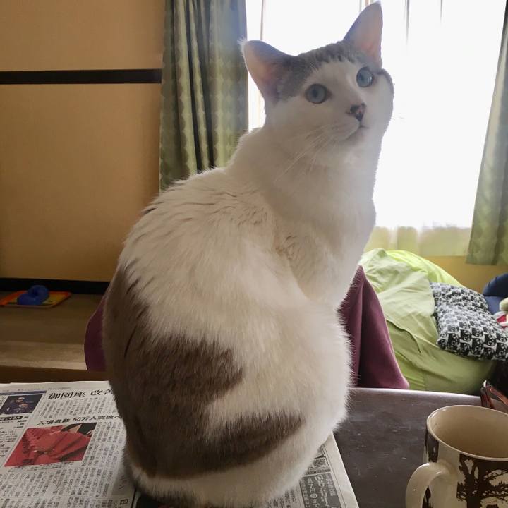 B816c1da 45a3 442f 94bb 16b48cae311a 1553821034358