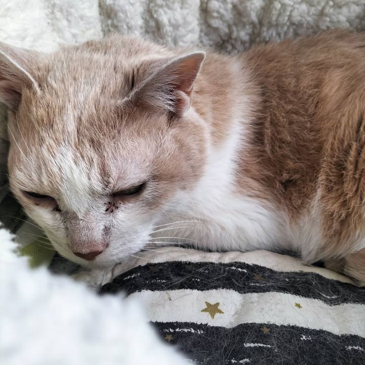 B816cfe9 4136 4728 b4da f400fb5a7f1c 1714951115605