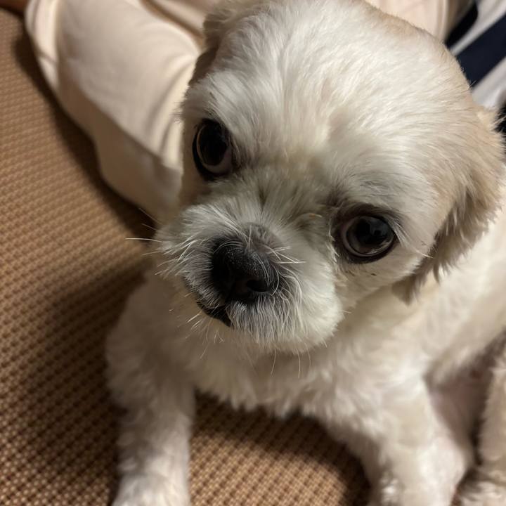 B816d2ce 03ac 4b05 b390 52bb2e587348 1759874121644