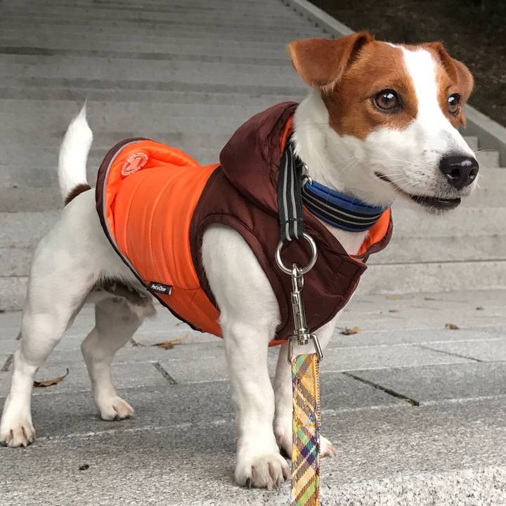 B816d737 8503 44eb 818b dc51a4f2e57f 1508754643897