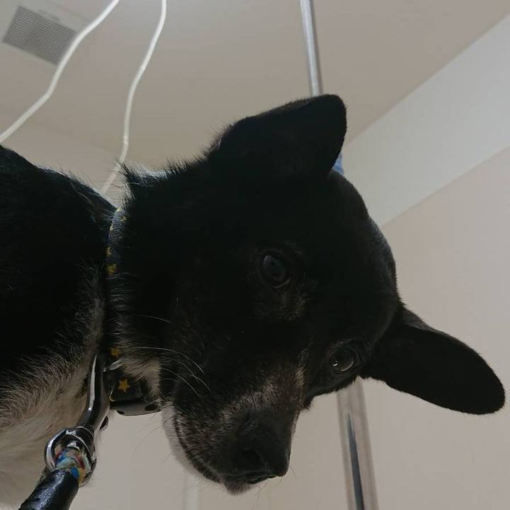 B8170d5e fb78 41d6 89c6 34562b525074 1556799832386