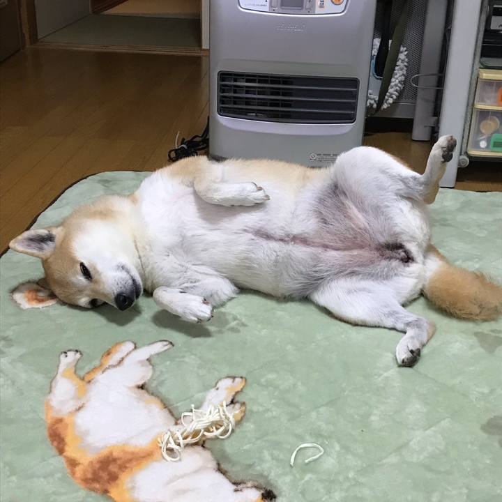 B8175077 2791 4a75 8bf1 6204d528ad97 1541422684853