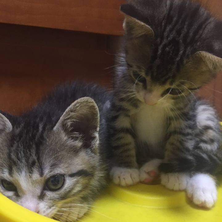 B817602e 8c21 4143 bad0 e644d39ea8f8 1651718696073