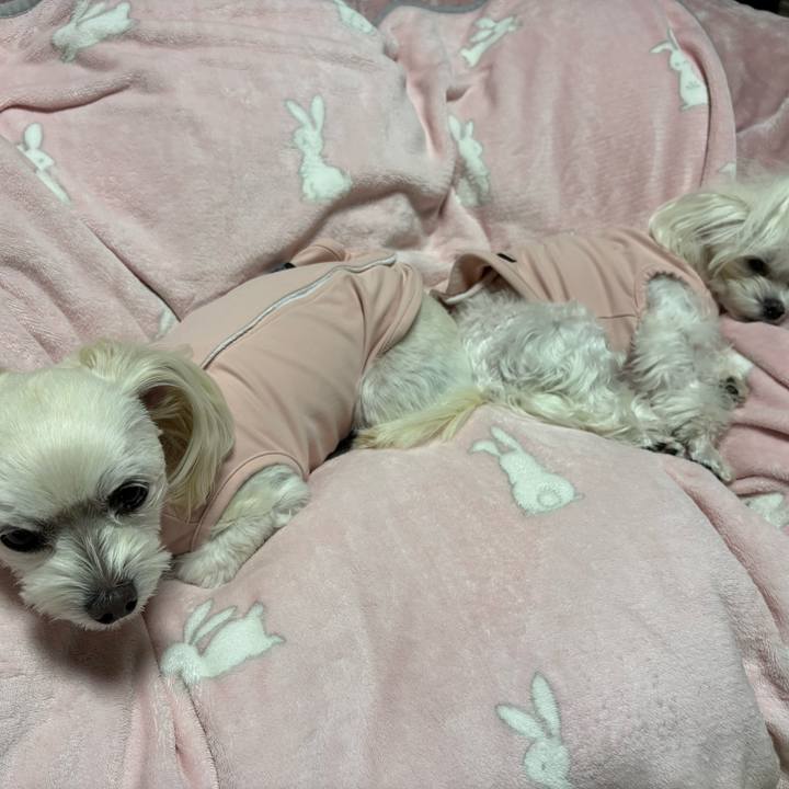 B8177940 59c4 4323 bcda c494b42527e1 1765270292113