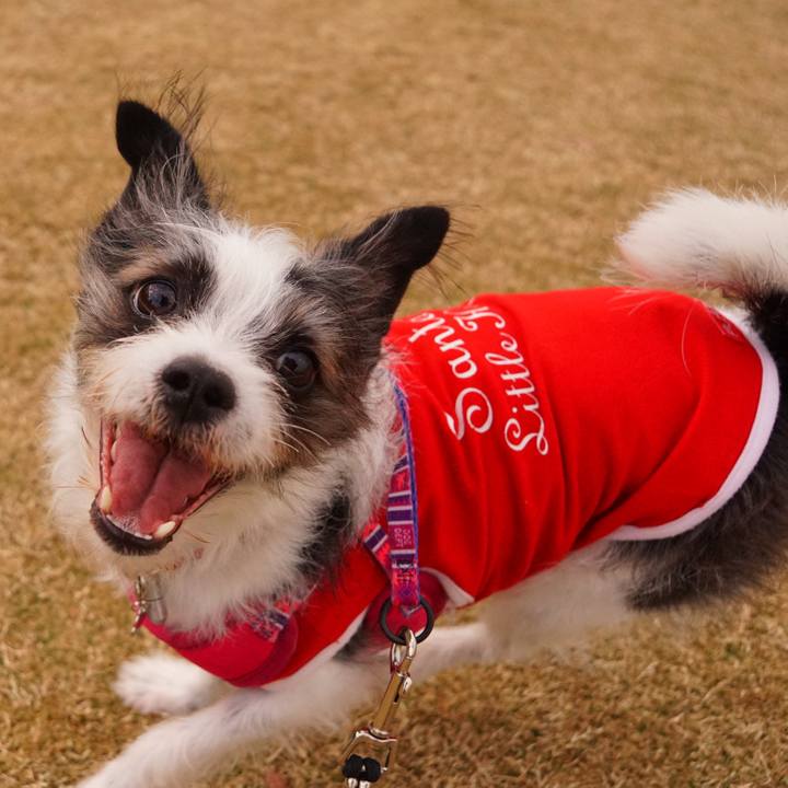 B817e67d d432 48bb 8f42 f7dcec671ddb 1577139869809