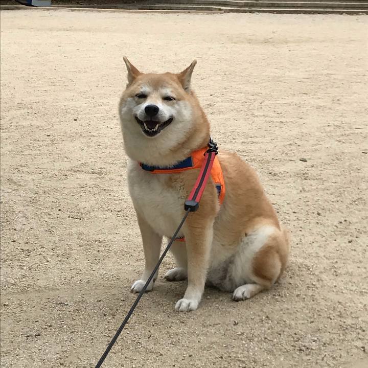 B817f837 a1aa 4b0f a379 e0c619c22a39 1526633427471