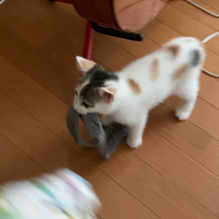 B817facf baf5 48d0 b195 c61b864629a2 1592442754437