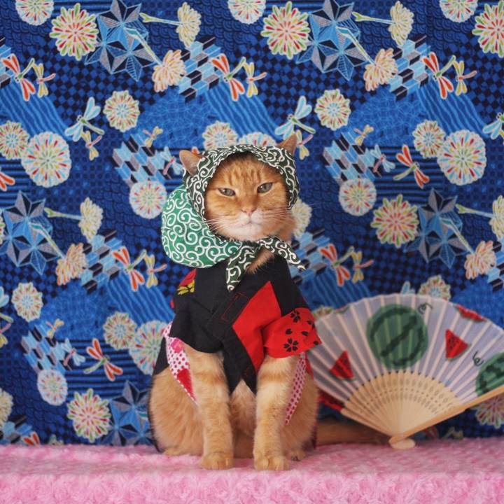 B8180468 348c 42e9 9016 a4e22b913c40 1659491194870