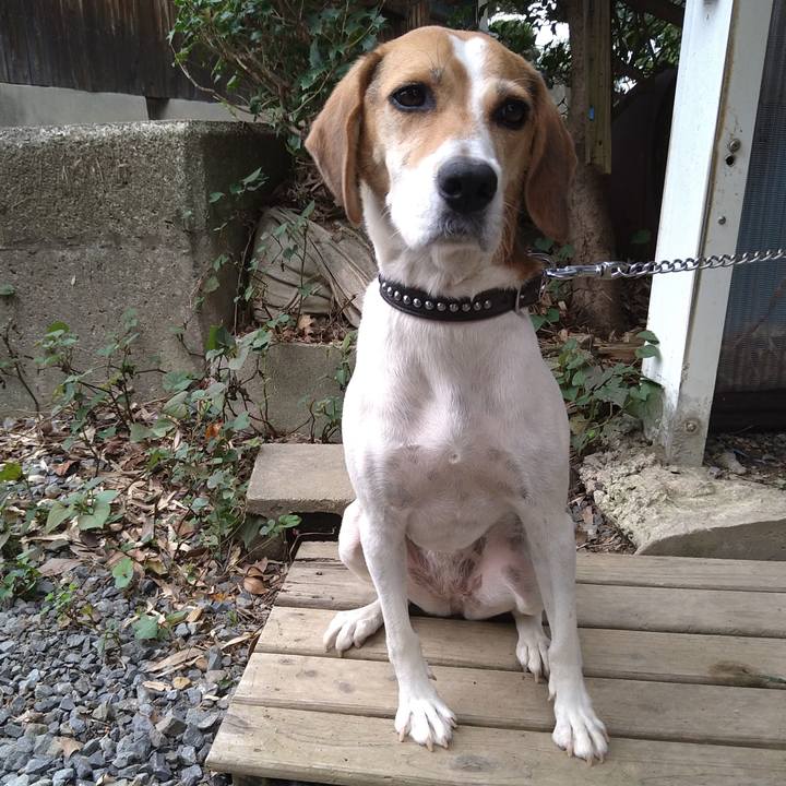 B81836d7 06e5 4399 ab50 50f859304f80 1631530436734