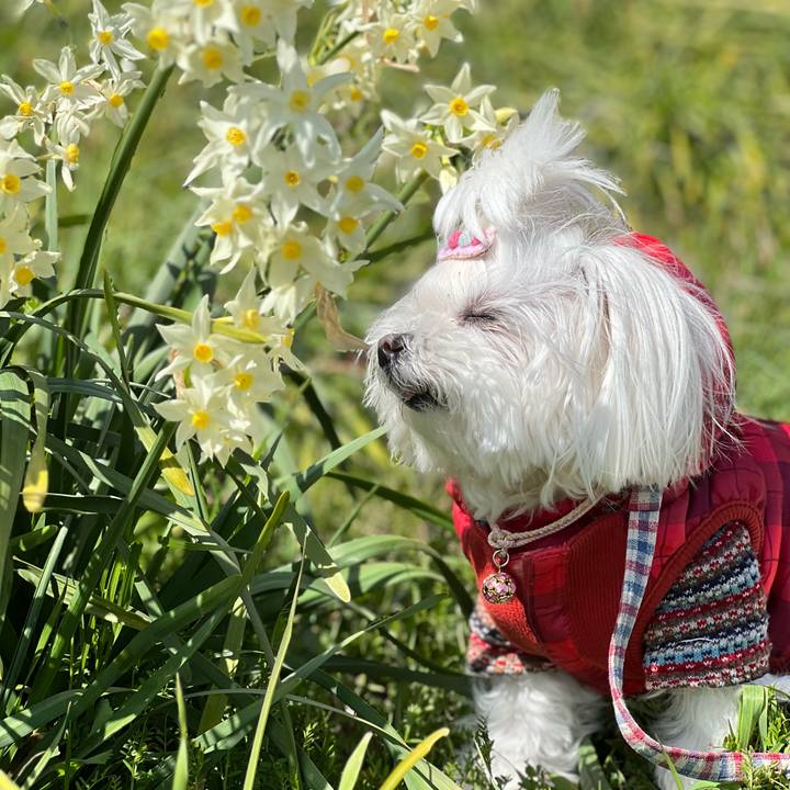 B8184c0e 9b4b 4247 9ac6 2e3ff0a4ee6e 1774240477910