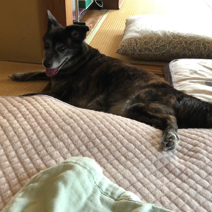 B8186949 08bc 461a 8cf9 4016f2c9352d 1695603831530