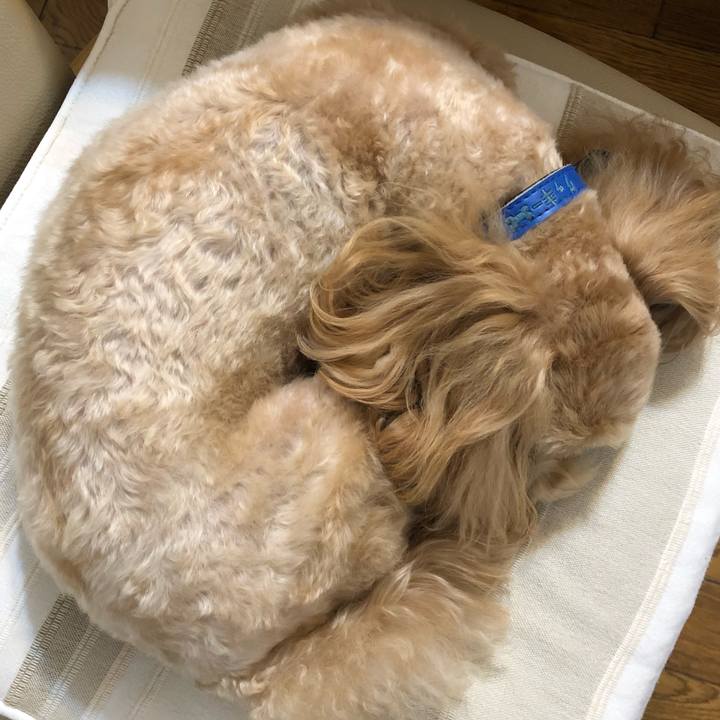 B818853e 94f9 436d 901d 795ea0c5ce94 1617635933870