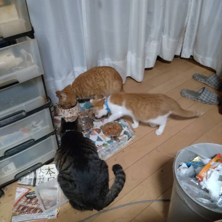 B818b004 238c 4981 9186 45a87a6705c1 1732399688147