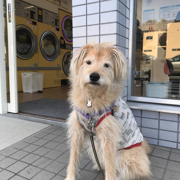 B818dad9 7fb6 40b5 98b0 949e49c7bbc5 1545878848655