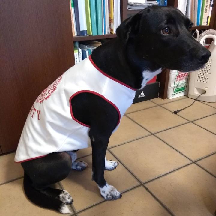 B8191511 1d2b 45ae 8d48 91b7abfff83f 1592196104993