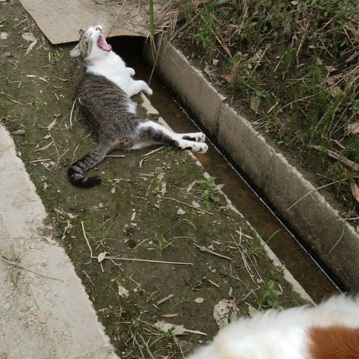 B8192f56 32b7 4ac6 820d e19780f9432d 1533987053263