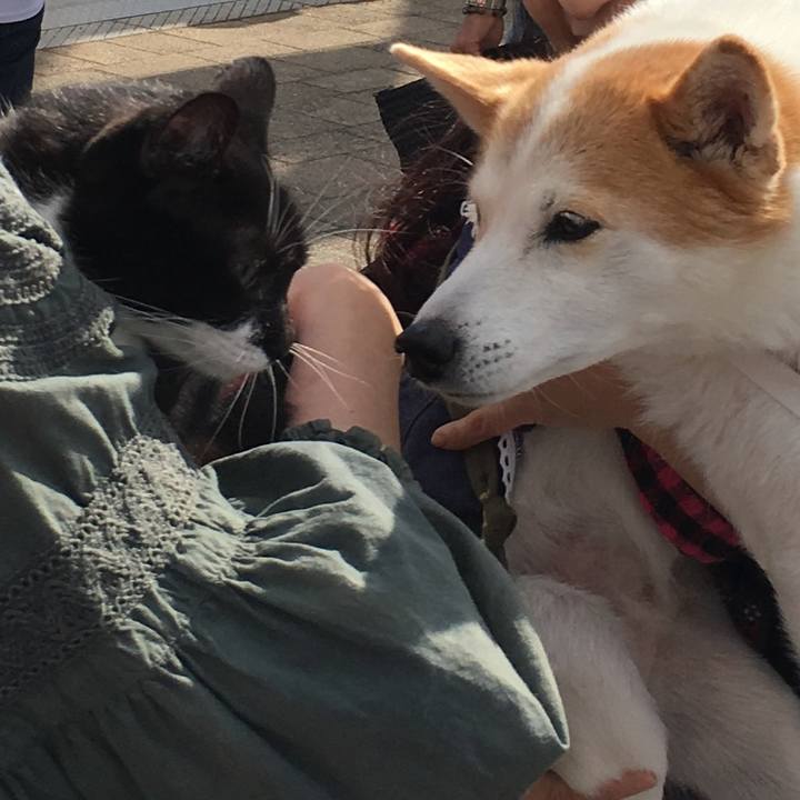 B81971db c098 4e99 bc55 f7ecc77f3f83 1540640297099